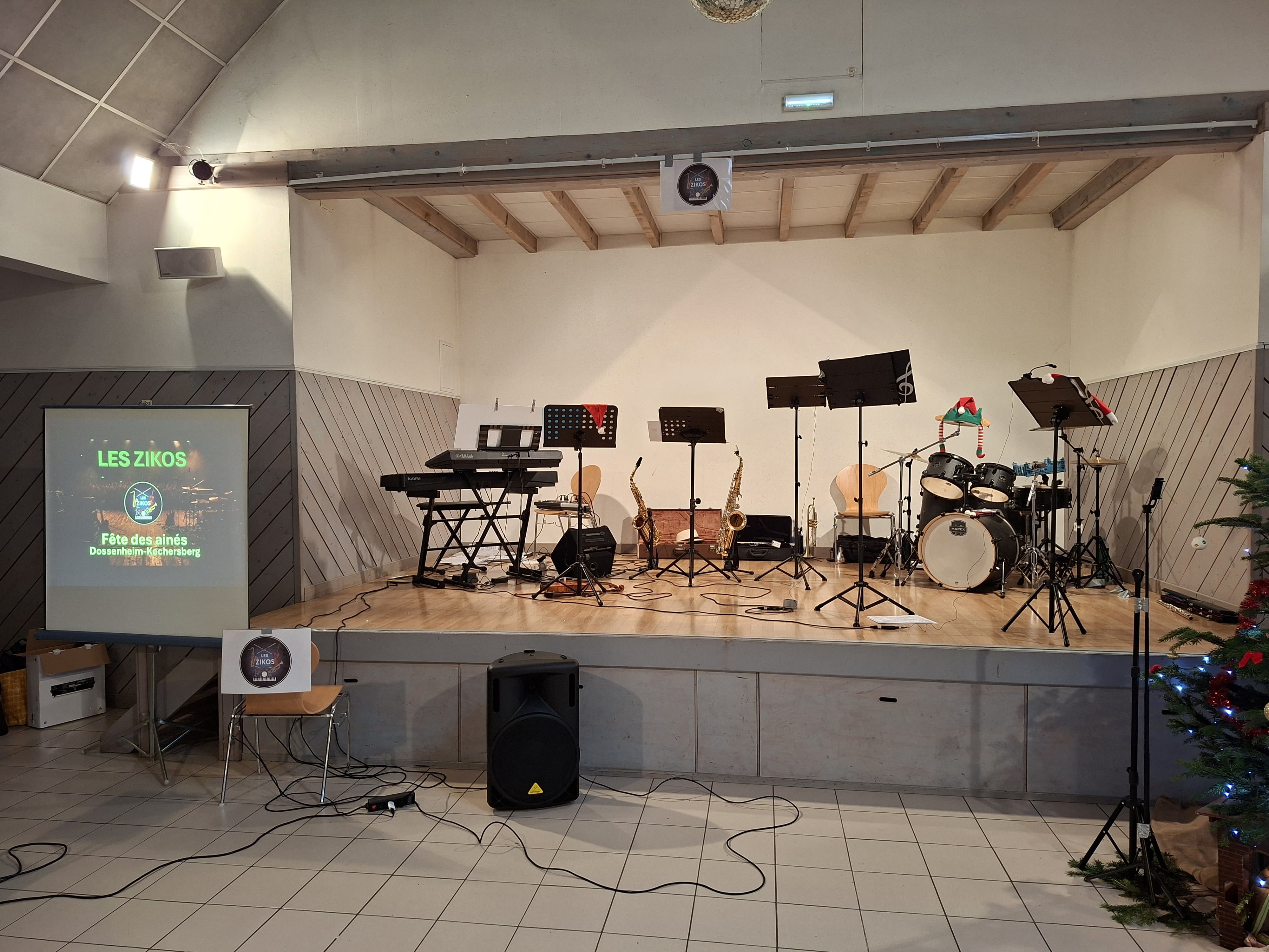 Les Zikos en animation musicale